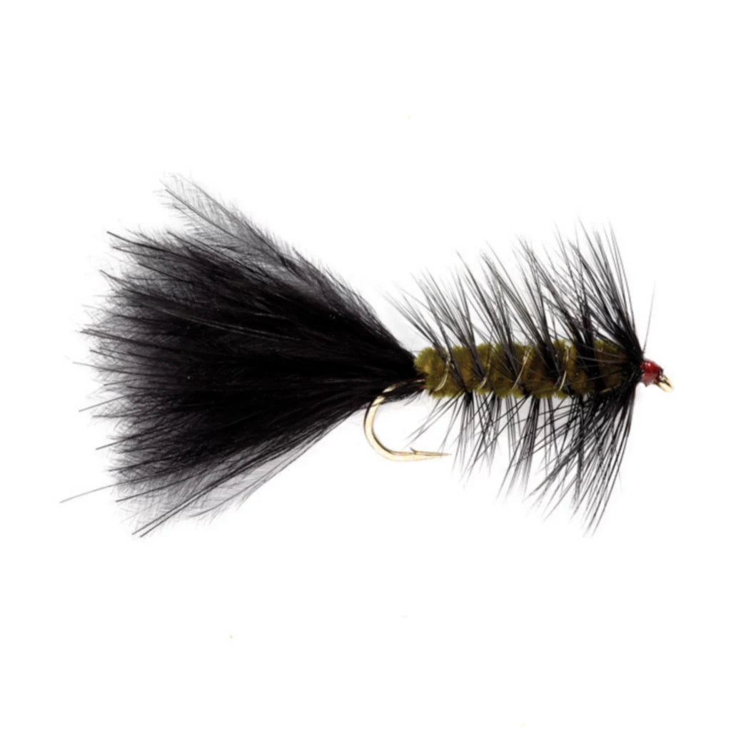 Black wooly bugger