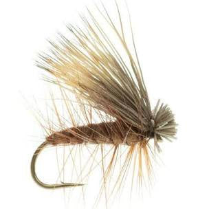 Brown elk hair caddis