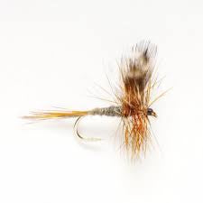 Adams wulff dry fly