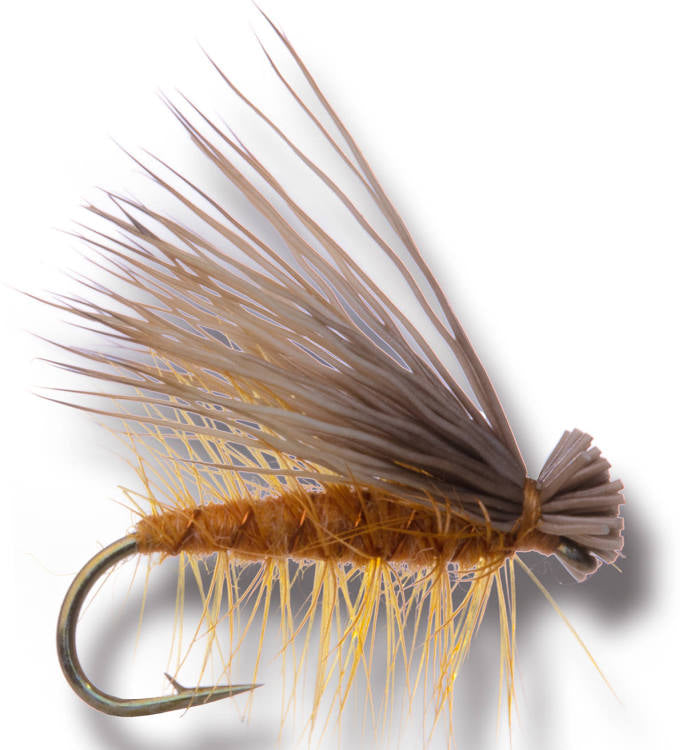 Orange elk hair caddis