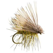 Olive elk hair caddis
