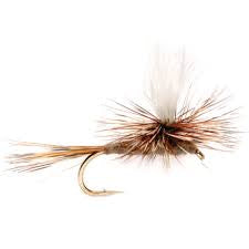 Parachute adams dry fly